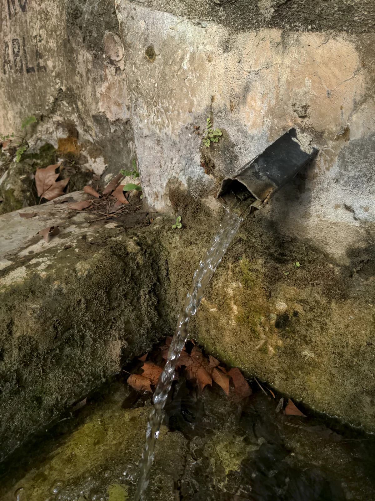 Camino a la Fuente del Pino