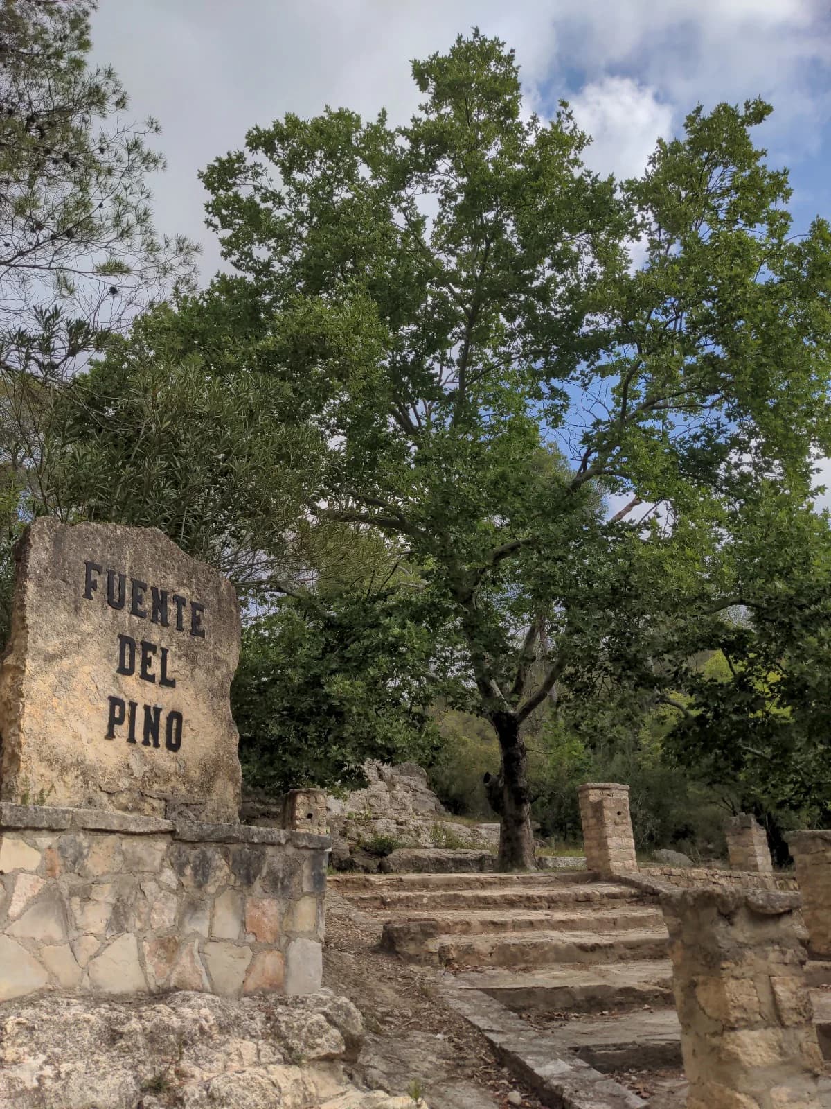Fuente del Pino - Entrada histórica