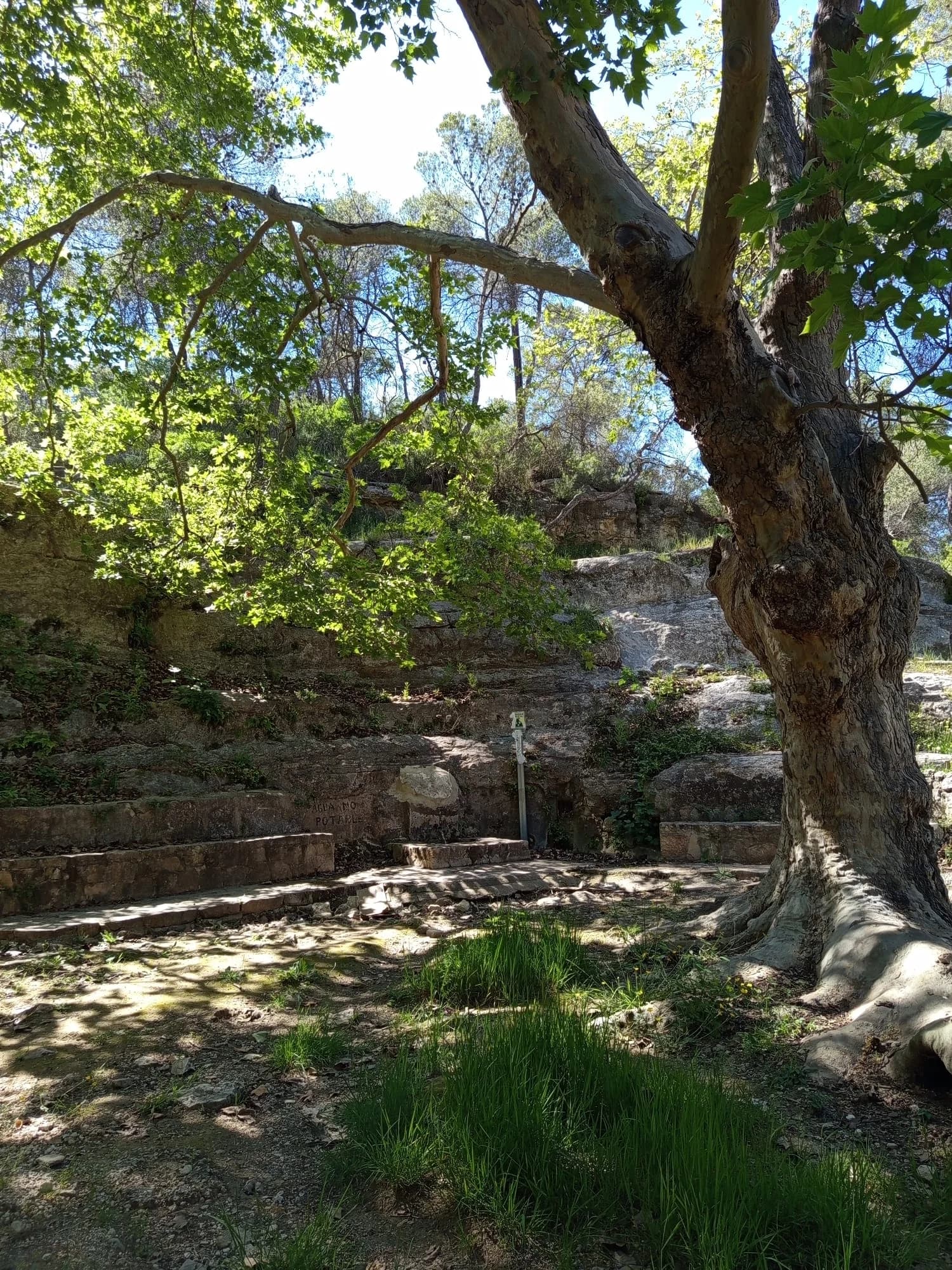 Turismo rural Valencia - Piscina natural